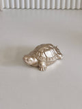 Small Tortoise Paper Weight