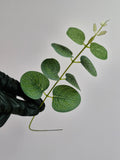 Artificial Eucalyptus Stem #1 - Mini Leaves Stem