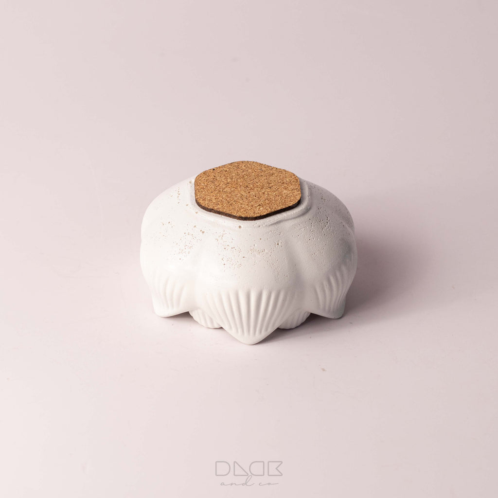 Stunning Lotus Pot - Stunning Flower Pot