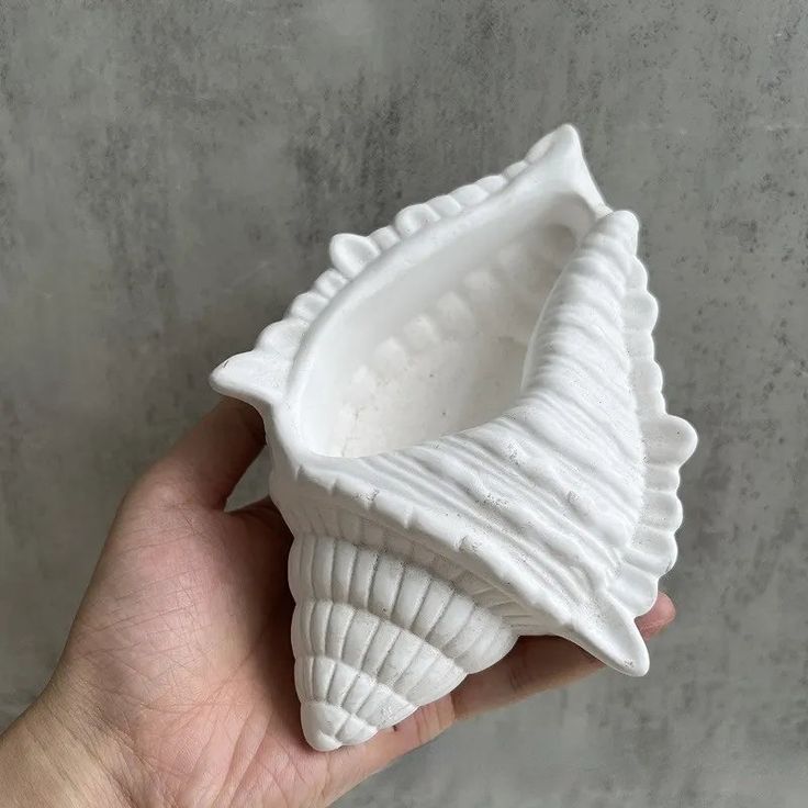 Conch Shell Dish | Stunning Large Conch Shell Tray