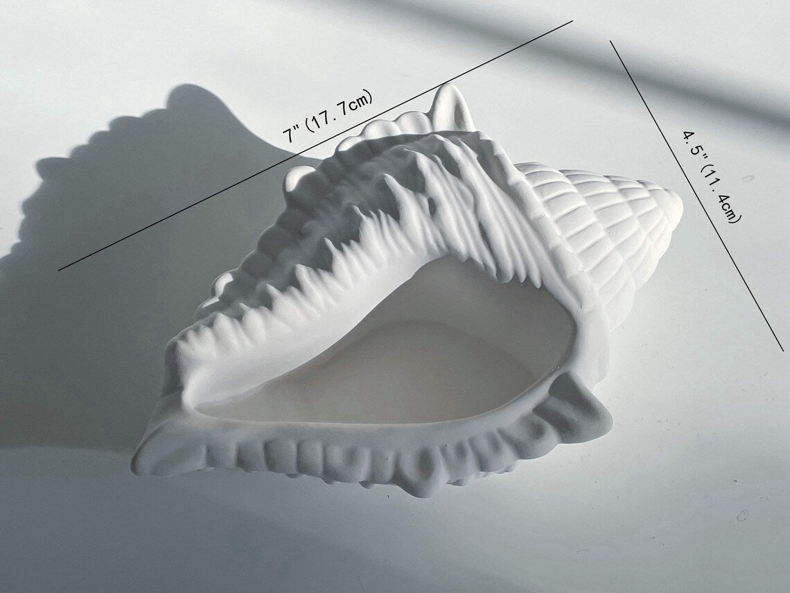 Conch Shell Dish | Stunning Large Conch Shell Tray