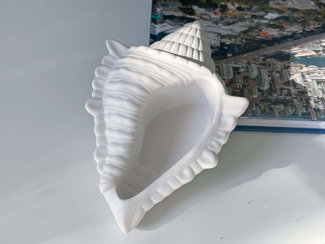 Conch Shell Dish | Stunning Large Conch Shell Tray