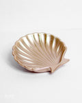 Sea Shell Dish - Seashell trinket