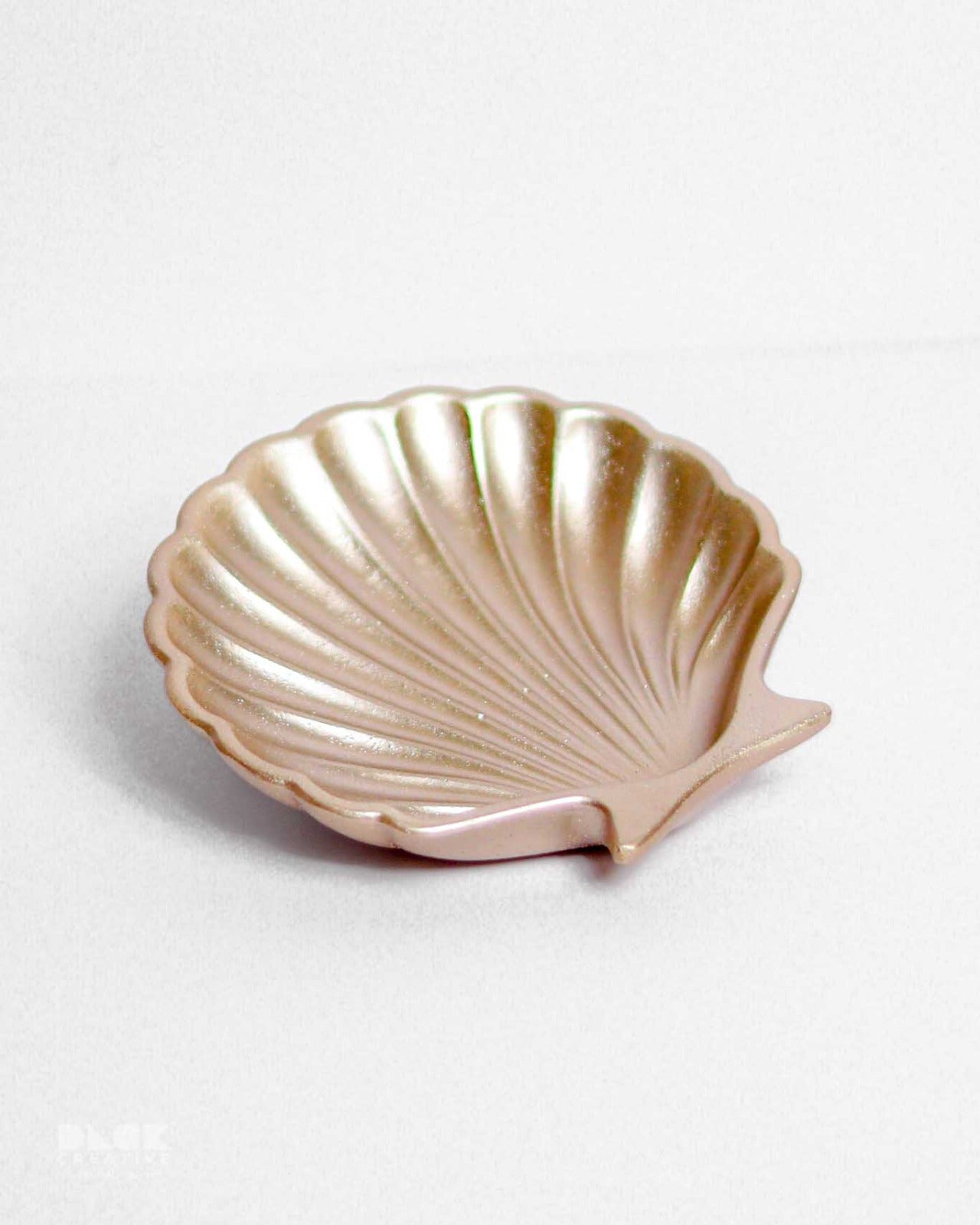 Sea Shell Dish - Seashell trinket